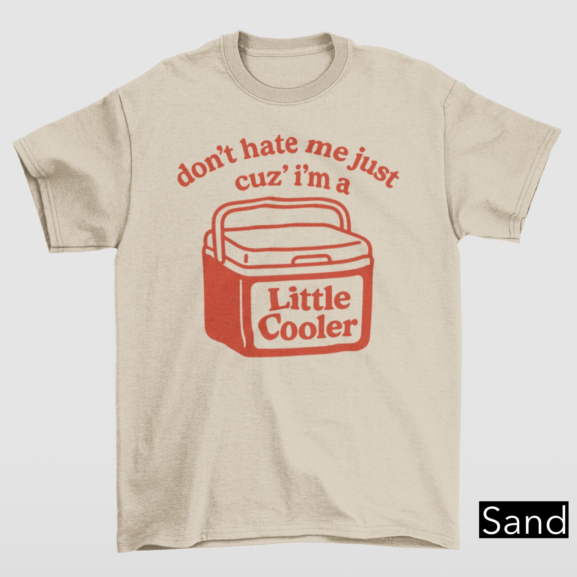 Don't Hate Me Cuz I'm A Little Cooler Shirt, Funny Dad Joke Tee, Funny BBQ & Grill Master Tee, Hilarious Summer Shirt, Humorous Gift Tee