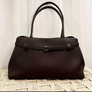 Discover the New Niche Buckle Bag: Stylish Underarm Commuter Solution