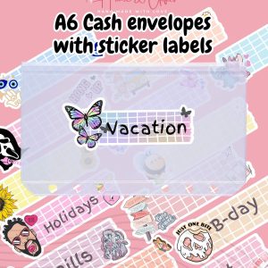 A6  Cash Envelopes with Matching Label stickers, A6 Standard Sized Envelopes with Labels, Zipper System | Personalized Clear Budget Sleeves.